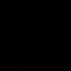 Meet your Posher, Perry